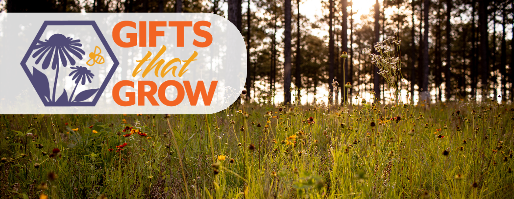 Gifts that Grow in Memory of Donald Knapp